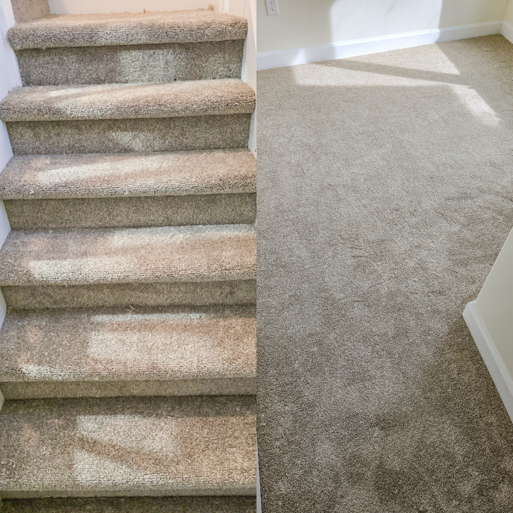 Carpet Swatch Best Friends Best - Passport